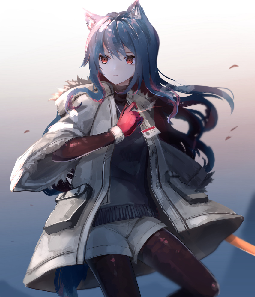 1girl aa_(sin2324) animal_ear_fluff animal_ears arknights bangs black_hair black_shirt breasts brown_legwear commentary_request gloves grey_jacket grey_shorts hair_between_eyes highres id_card jacket legwear_under_shorts long_hair looking_away looking_to_the_side multicolored_hair open_clothes open_jacket pantyhose red_eyes red_gloves red_hair shirt short_shorts short_sleeves shorts small_breasts solo tail texas_(arknights) two-tone_hair very_long_hair wide_sleeves