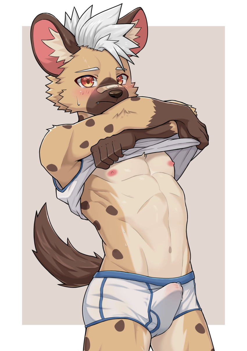 abs anthro athletic athletic_male band-aid bandage blush bodily_fluids clothed clothing erection erection_under_clothing genital_fluids guran_demoneko hi_res hyena male mammal precum precum_through_clothing shirt solo sweat tank_top topwear undressing wet wet_clothing