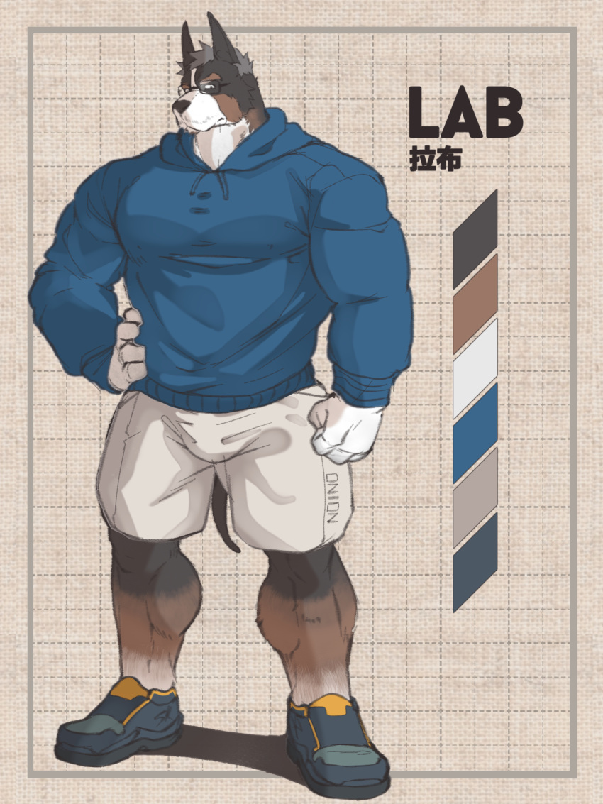 1boy bara blue_hoodie bulge calf character_name dog_boy facial_hair full_body furry furry_male glasses gloves grey_hair highres hood hoodie large_pectorals male_focus mature_male muscular muscular_male mustache_stubble old old_man onionworkshop original paid_reward_available pectorals shoes short_hair shorts sneakers solo standing stubble tachi-e translation_request