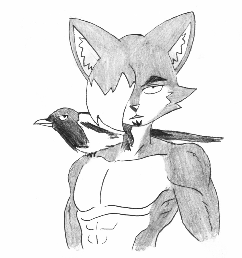 absurd_res anthro athletic athletic_anthro athletic_male avian bangs beard biceps bird blue_body blue_fur blue_hair bone canid canine canis cheek_tuft collarbone corvid efradraws eyebrows facial_hair facial_tuft feathers fur hair hi_res inner_ear_fluff magpie_(corvid) male mammal multicolored_body multicolored_fur n'tal_(northwind) northwind_(efradraws) one_eye_obstructed oscine painting_(artwork) passerine pecs solo thick_eyebrows traditional_media_(artwork) tuft two_tone_body two_tone_fur uspul_(efradraws) watercolor_(artwork) wolf
