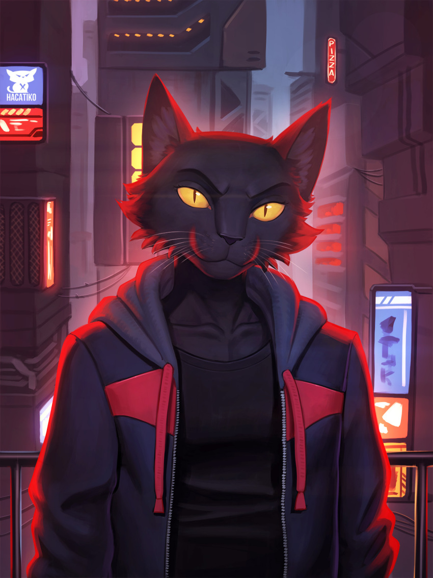 anthro biped black_body black_fur building city clothing domestic_cat felid feline felis fur futuristic hacatiko hi_res hoodie looking_at_viewer male mammal pupils shirt slit_pupils soft_lighting solo t-shirt topwear whiskers yellow_eyes