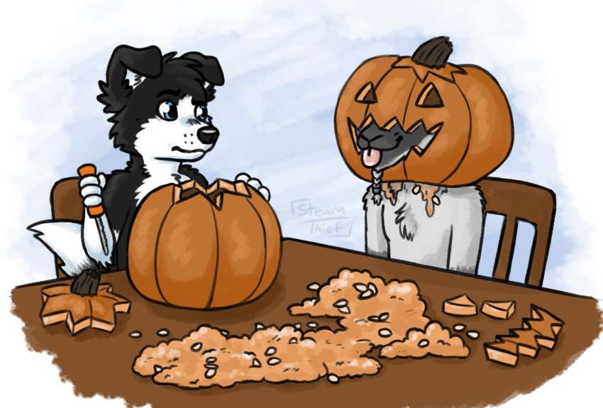 anthro black_body black_fur black_nose blep border_collie bovid canid canine canis caprine chair collie danny_xander digital_media_(artwork) domestic_dog duo food fruit fur furniture glennus goat hair halloween herding_dog hi_res holding_object holidays jack-o'-lantern knife male male/male mammal pastoral_dog plant pumpkin pumpkin_head pumpkin_seeds sheepdog simple_background sitting skeptical steamthief table tail tongue tongue_out wearing_pumpkin white_background white_body white_fur