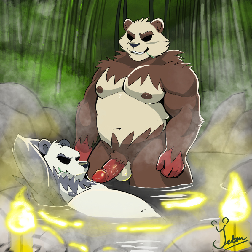 2024 absurd_res anthro balls bamboo bamboo_forest bamboo_stick bamboo_tree bear belly big_butt blush bodily_fluids brown_body brown_fur butt cum cum_in_mouth cum_inside digital_media_(artwork) duo ejaculation erection foreskin forest fur generation_6_pokemon genital_fluids genitals giant_panda hi_res hot_spring humanoid_genitalia humanoid_penis imminent_sex larger male male/male mammal musclegut muscular muscular_male nintendo nipples nude pangoro pecs penis plant pokemon pokemon_(species) retracted rock shiny_pokemon smile steam sweat thick_thighs tree water wet yetsu
