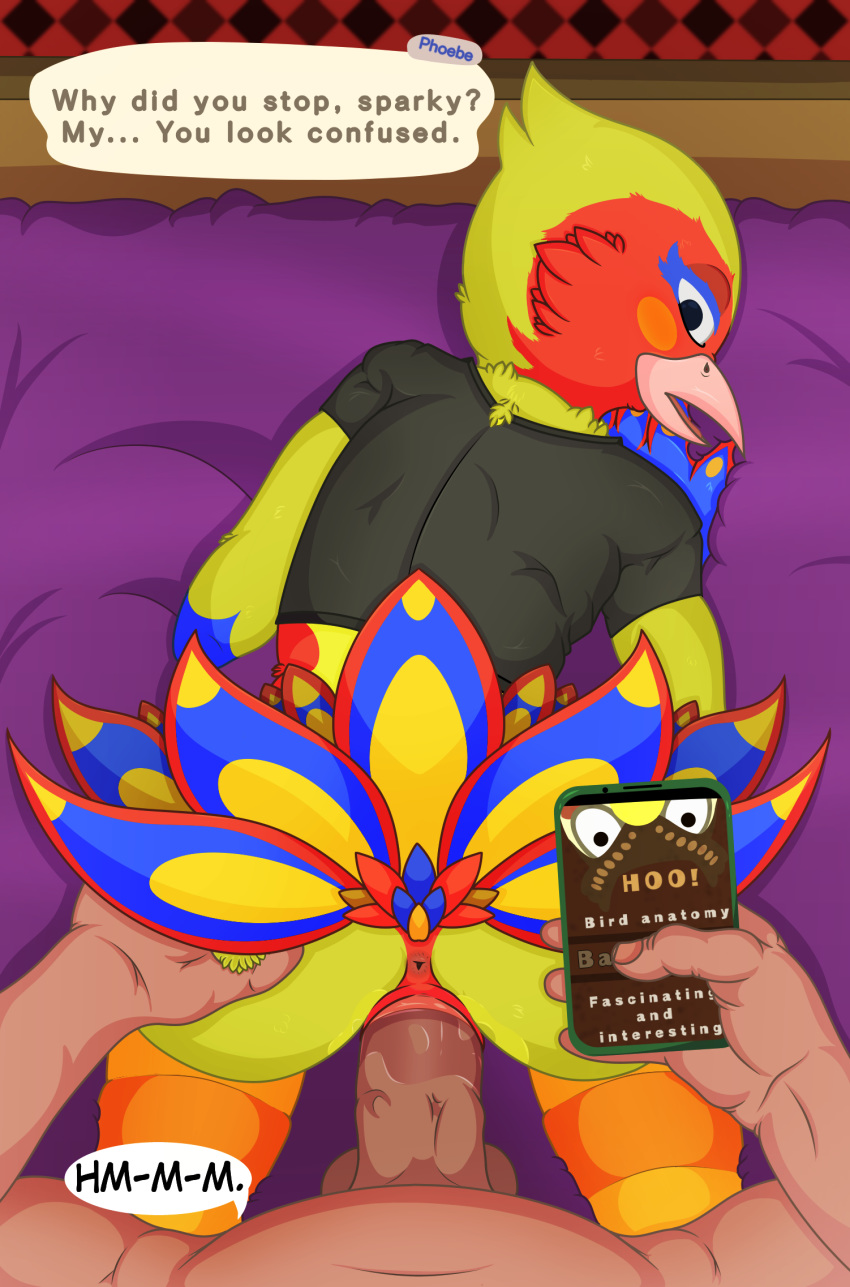 animal_crossing anthro anthro_penetrated avian balls beak beardofzeus bed bird bodily_fluids clothing digital_media_(artwork) duo english_text erection faceless_male feathers female first_person_view furniture genital_fluids genitals hi_res human human_on_anthro human_penetrating human_penetrating_anthro interspecies looking_at_viewer male male/female male_penetrating male_pov mammal nintendo open_mouth penetration penis phoebe_(animal_crossing) pussy sex text tongue vaginal vaginal_penetration video_games