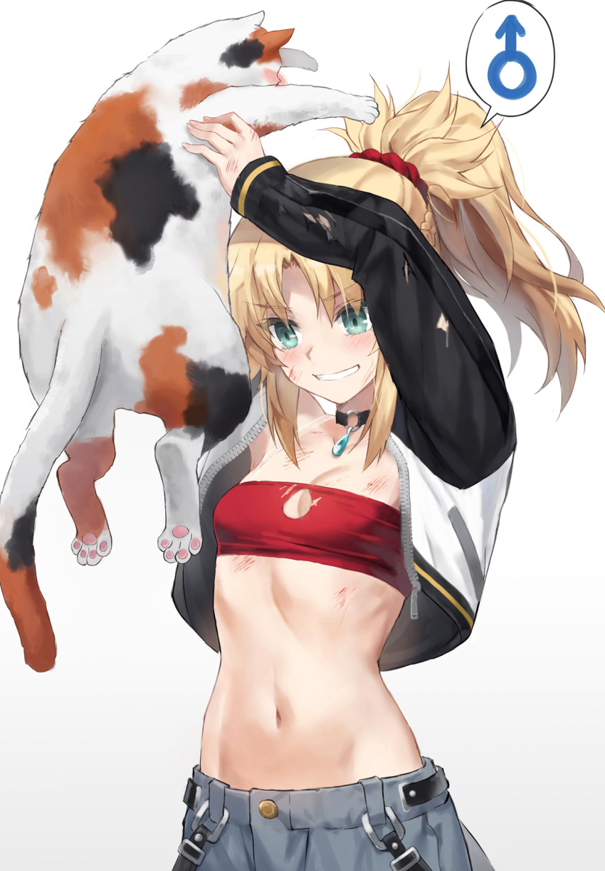 1girl animal aqua_eyes bandeau black_choker blonde_hair breasts cat choker cleavage cleavage_cutout clothing_cutout commentary_request cropped_jacket fate/apocrypha fate_(series) gem gradient_background grey_background grin highres holding holding_animal holding_cat jacket long_hair midriff mordred_(fate) mordred_(fate/apocrypha) navel open_clothes open_jacket ponytail sidelocks small_breasts smile solo stomach strapless tonee tube_top upper_body white_background