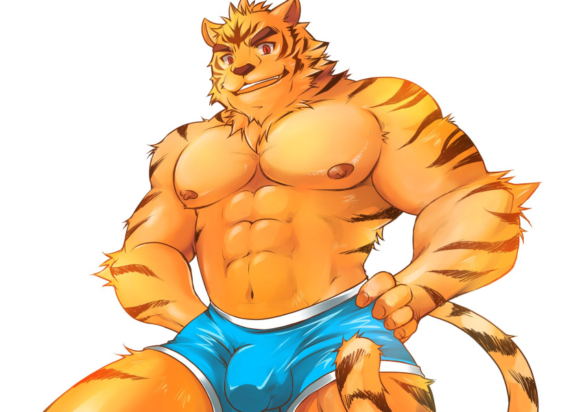 abs anthro balls_outline blue_clothing blue_underwear bulge clothed clothing ellie_saionji felid fur genital_outline hand_on_hip hi_res looking_at_viewer male mammal muscular muscular_male nipples orange_body orange_fur pantherine pecs penis_outline red_eyes simple_background solo striped_body striped_fur stripes tiger topless underwear white_background