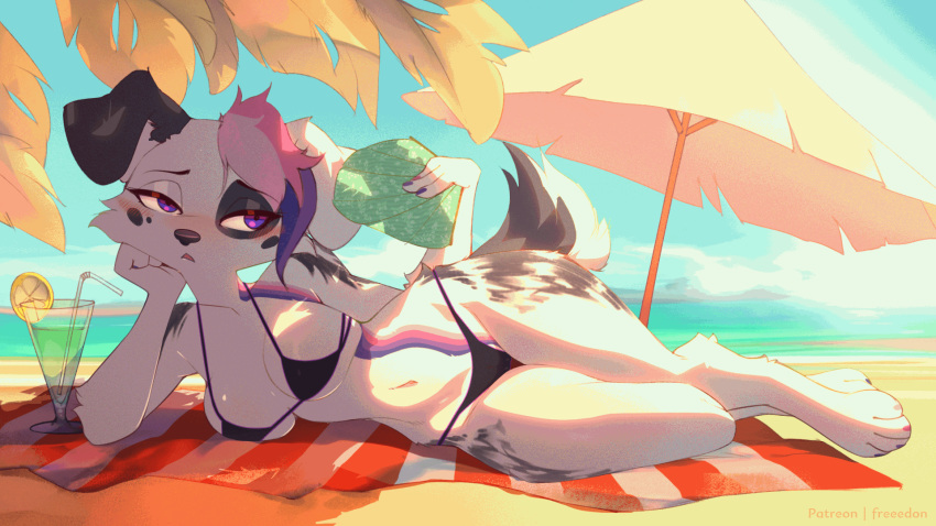 16:9 2024 animated anthro beach beach_umbrella beverage bikini black_body black_fur breasts canid canine canis clothed clothing container cup domestic_dog drinking_glass drinking_straw feet female fingers freeedon fur glass glass_container glass_cup hair hi_res holding_object lying mammal multicolored_body multicolored_fur multicolored_hair on_side parasol purple_eyes short_playtime solo swimwear tail tail_motion tailwag toes towel two_tone_body two_tone_fur white_body white_fur widescreen