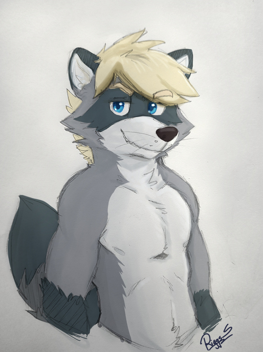 absurd_res anthro blonde_hair blue_eyes fur glistening glistening_eyes grey_body grey_fur grin hair half-length_portrait hi_res looking_at_viewer male mammal narrowed_eyes pache_riggs portrait procyonid raccoon signature simple_background smile solo whiskers white_background white_body white_fur