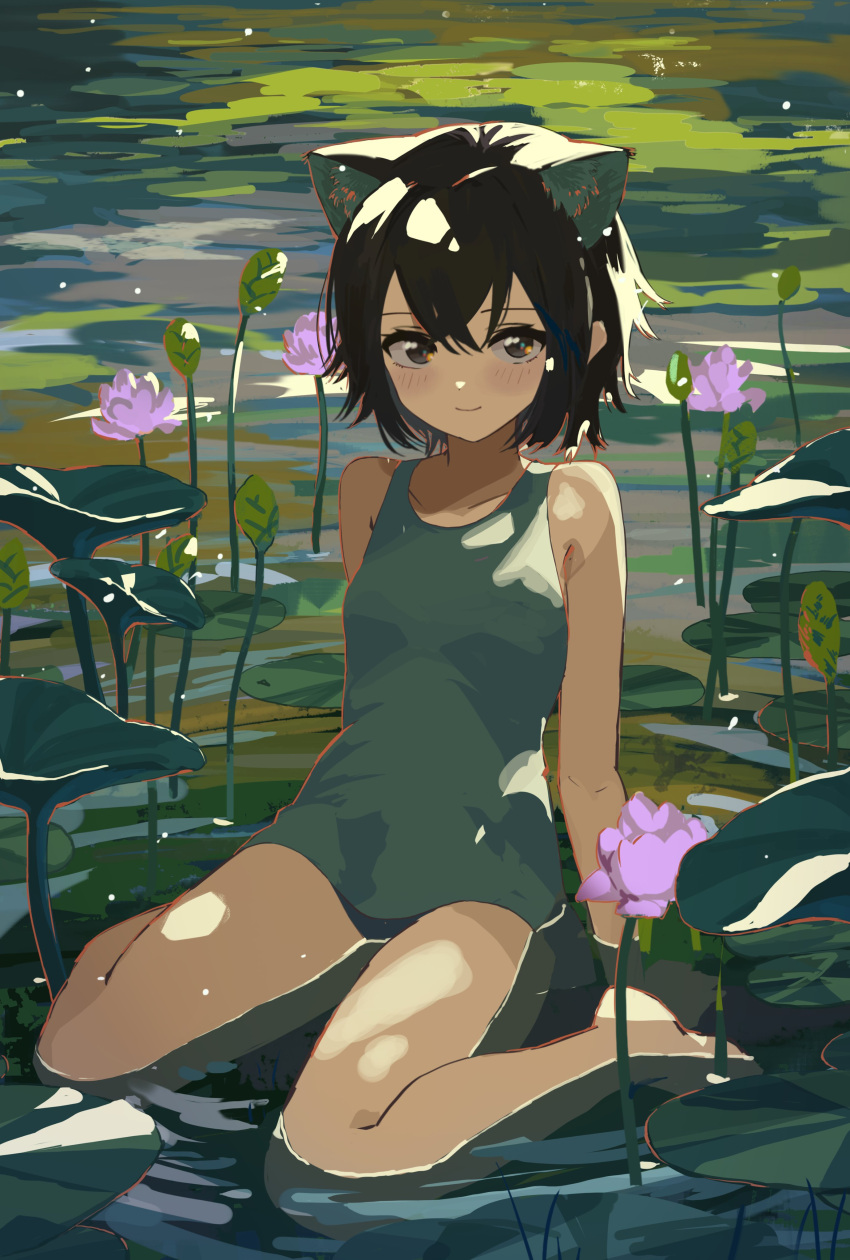 1girl absurdres animal_ears arm_support arms_at_sides barefoot blue_one-piece_swimsuit blush brown_eyes brown_hair cat_ears cat_girl closed_mouth collarbone day flower full_body hair_between_eyes highres in_water kgt_(pixiv12957613) leaning_back lily_pad looking_at_viewer one-piece_swimsuit original outdoors pink_flower plant ripples short_hair sidelocks sitting smile solo swimsuit wariza water