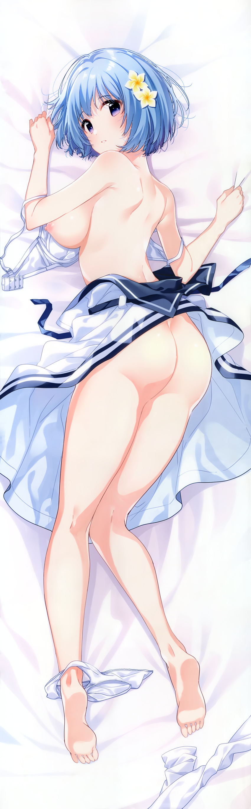 dakimakura eufonie tagme