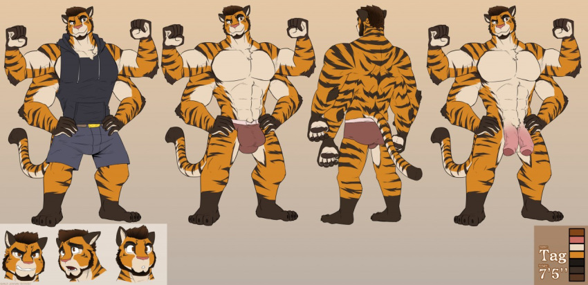 2020 4_arms anthro barefoot beard bob15 bottomwear bulge clothing eyebrows facial_hair felid flexing hoodie humanoid_hands juniorjosi male mammal model_sheet multi_arm multi_limb multifur muscular muscular_male nude pantherine pawpads raised_arm raised_eyebrow shorts smug solo stripes tiger topwear underwear vest