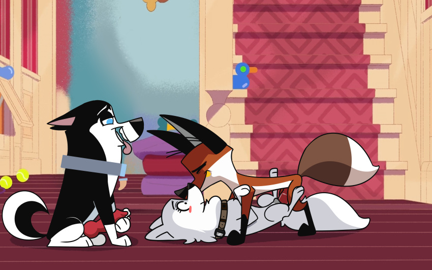 101_dalmatian_street 101_dalmatians 16:10 absurd_res animal_genitalia animal_penis blanca blanca_(nicky_illust) blush bodily_fluids canid canine canine_penis canis cum cum_leaking disney domestic_dog erection fan_character female feral fox fur genital_fluids genitals group group_sex hi_res husky hypergal knot lying male male/female mammal masturbation missionary_position nordic_sled_dog on_back penetration penis penis_grab pussy samoyed sex spitz surprise tongue tongue_out virgin white_body white_fur widescreen