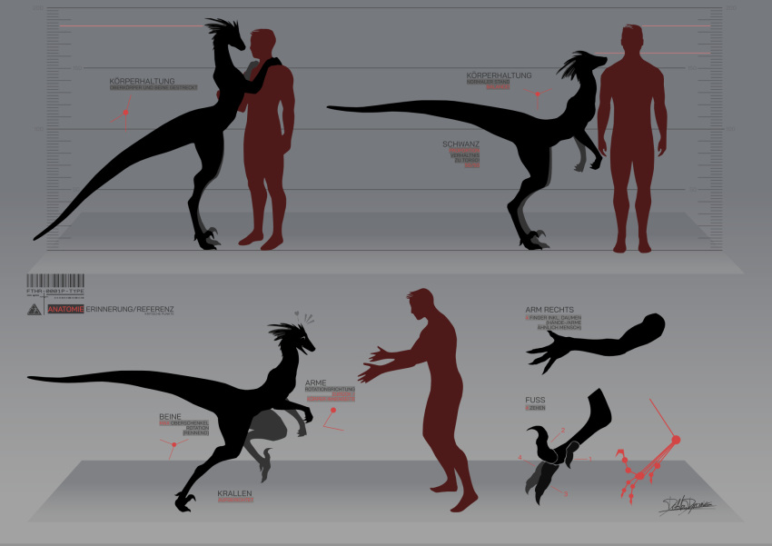 &lt;3 claws delta.dynamics digitigrade dinosaur dromaeosaurid female feral german_text gradient_background happy height_chart hi_res hug human long_tail male mammal model_sheet nude reptile running scalie semi-anthro silhouette simple_background smile text theropod translated