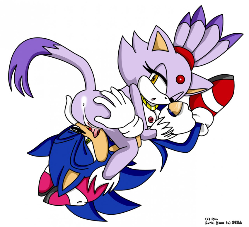 blaze_the_cat riku sega sonic_team sonic_the_hedgehog