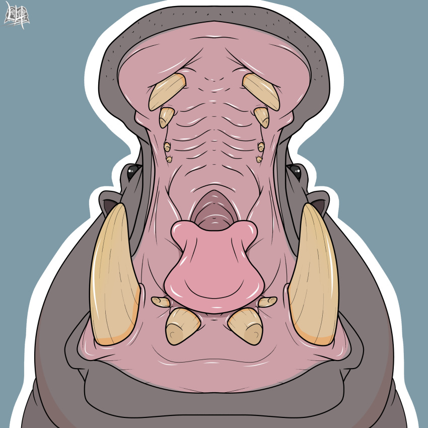 common_hippopotamus feral hi_res hippopotamid leonheart54115 male mammal mouth_shot open_mouth oral_vore solo teeth throat tongue vore