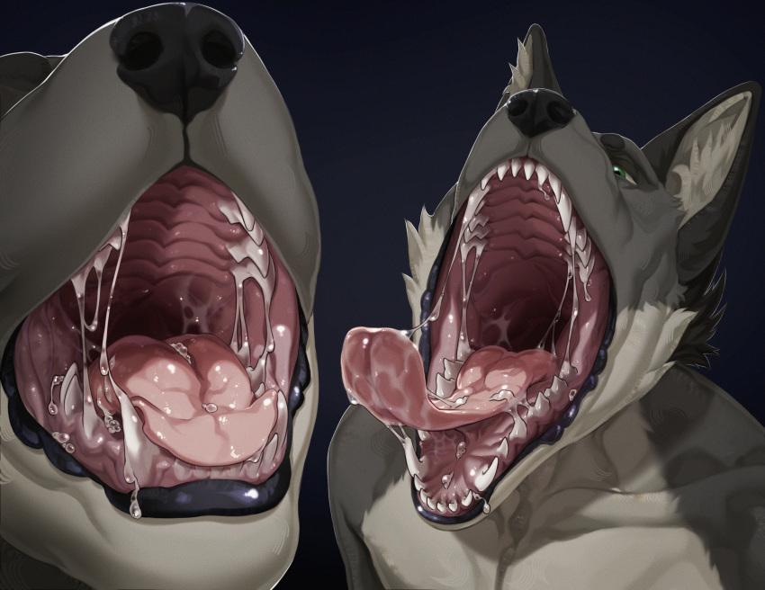 anthro bodily_fluids canid canine canis close-up drooling fangs hi_res male mammal mouth_shot mzmrt nuntis_(nuntis) open_mouth oral_vore saliva solo teeth vore wolf