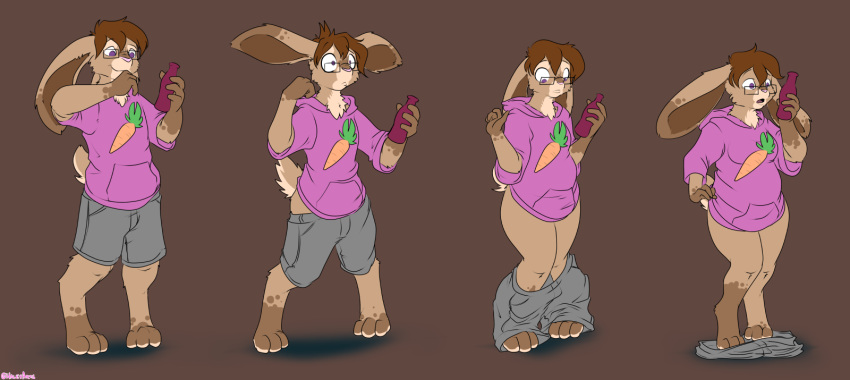 anthro barefoot bottle breast_growth breasts brown_body clothing eyewear female gender_transformation glasses halcy0n hi_res hoodie lagomorph leporid magic male male_to_female mammal mtf_transformation potion rabbit sequence simple_background solo surprise sweater topwear transformation wardrobe_malfunction