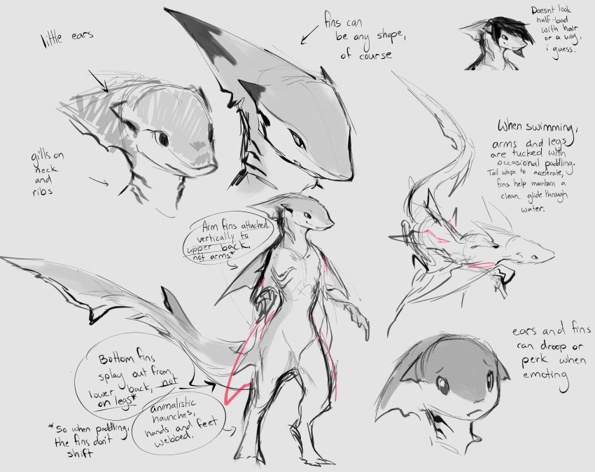 2019 absurd_res ambiguous_gender anthro big_tail concept ears_back ears_down ears_up english_text fin fireflufferz fish flat_chested gills group hi_res marine membrane_(anatomy) notes nude pivoted_ears shark sketch swimming teeth text thick_tail thick_thighs webbed_feet webbed_hands wide_hips wig