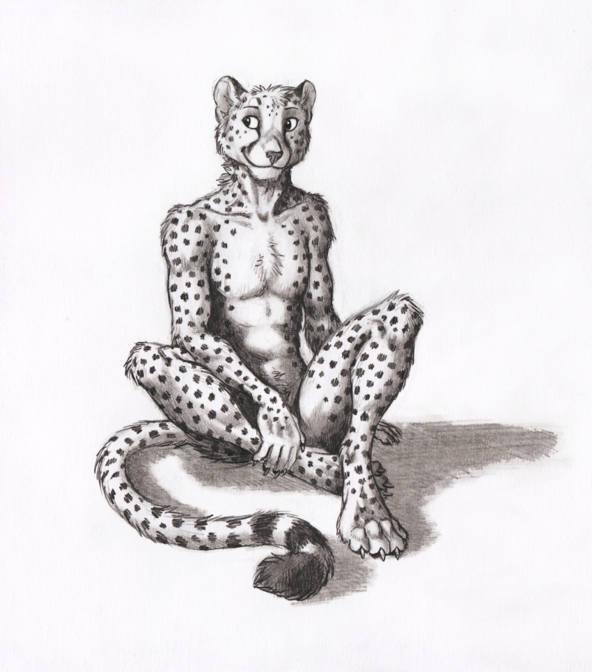 0laffson 2020 4_toes 5_fingers anthro cheetah chest_tuft claws collarbone crossed_legs digitigrade felid feline fingers front_view fur graphite_(artwork) greyscale hi_res looking_aside male mammal monochrome nude pencil_(artwork) sitting sketch slim smile solo spots spotted_body spotted_fur toes toroka traditional_media_(artwork) tuft