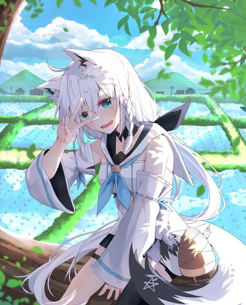 1girl ahoge animal_ear_fluff animal_ears bamboo_shoot black_legwear black_shorts blue_eyes blue_sky blush braid breasts cloud cloudy_sky commentary cowboy_shot day detached_sleeves eyebrows_visible_through_hair fang fox_ears fox_tail hair_between_eyes highres hololive in_tree long_hair looking_at_viewer medium_breasts mountain open_mouth oruyanke_(fubuki_channel) outdoors ponytail rice_paddy shirakami_fubuki short_shorts shorts side_braid single_thighhigh sitting sitting_in_tree sky smile solo tail telephone_pole thigh_strap thighhighs tree v v_over_eye virtual_youtuber white_hair white_hoodie wstckhl