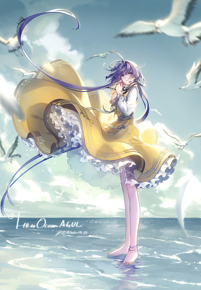 1girl bare_legs barefoot bird dress flower full_body highres kieta long_hair nail_polish ocean purple_eyes purple_hair seagull smile solo toenails touhou tsukumo_benben yellow_flower