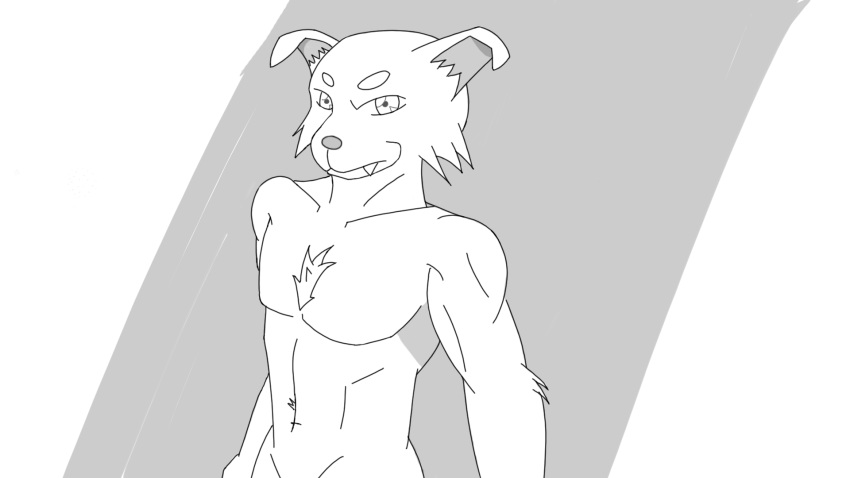 16:9 anthro canid canine chest_tuft convenient_censorship hi_res looking_at_viewer male mammal monochrome silverbunny simple_background solo topless_male tuft white_background widescreen young