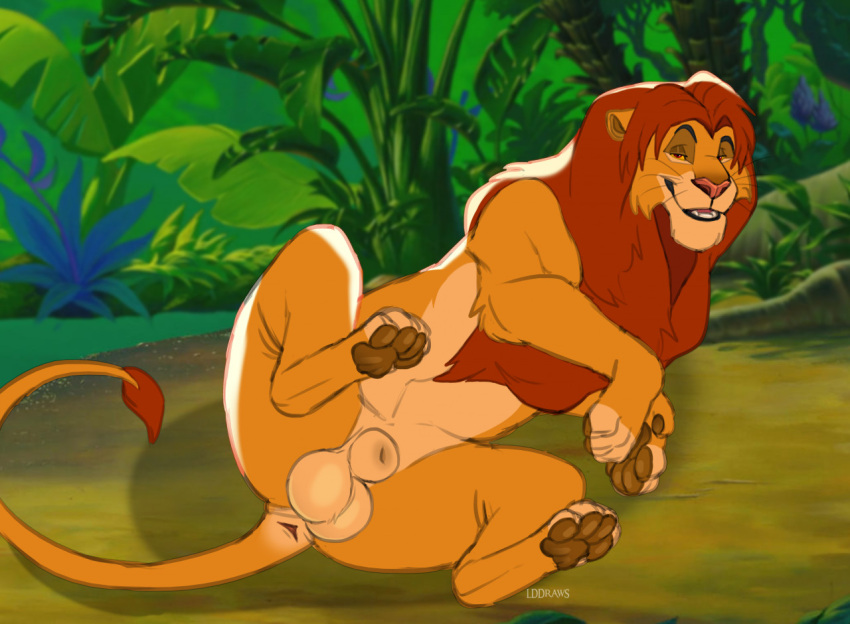animal_genitalia anus balls bedroom_eyes claws disney eyebrows felid feral forest fur genitals hair lddraws lion looking_at_viewer lying male mammal mane narrowed_eyes on_side outside pantherine pawpads plant raised_eyebrow red_hair seductive sheath simba_(the_lion_king) smile solo tail tail_tuft tan_body tan_fur the_lion_king tree tuft whiskers
