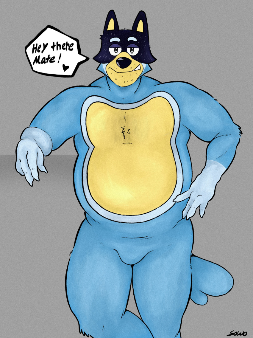 absurd_res anthro bandit_heeler blue_body bluey_(series) body_hair bulge canid canine canis chest_hair dialogue digital_media_(artwork) domestic_dog english_text fur hand_on_hip hi_res looking_at_viewer male mammal musclegut nude overweight overweight_male simple_background slightly_chubby smile solo sowo speech_bubble standing tail text thick_thighs
