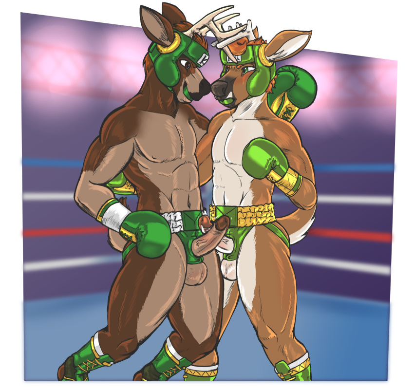 absurd_res anthro antlers balls boxing boxing_gloves cervid clothing dcheese digital_media_(artwork) duo erection fight fighting_ring frottage fur genitals hair handwear headgear hi_res horn humanoid_genitalia humanoid_penis jockstrap koc male male/male mammal penis sex simple_background smile sport underwear