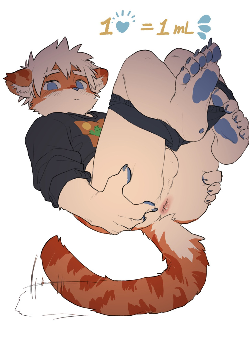 anthro anus balls black_clothing black_hoodie black_topwear blue_eyes blue_nose butt clothed clothing domestic_cat ear_tuft felid feline felis fur genitals hair hi_res hkl hkl9917462 hoodie inner_ear_fluff kemono male mammal orange_body orange_fur orange_tail partially_clothed presenting presenting_anus presenting_hindquarters red_body red_fur shy solo spread_butt spreading tan_balls tan_body tan_fur tan_hair topwear tuft underwear