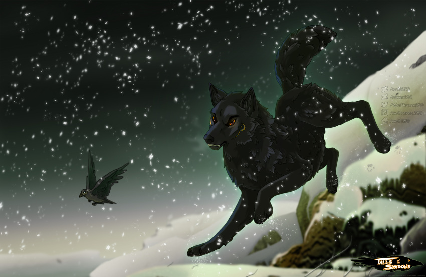 2020 4_toes avian bird black_body black_fur black_nose canid canine canis detailed_background digital_media_(artwork) feathered_wings feathers fur hi_res male mammal night outside snow toes wings wolf wolf250