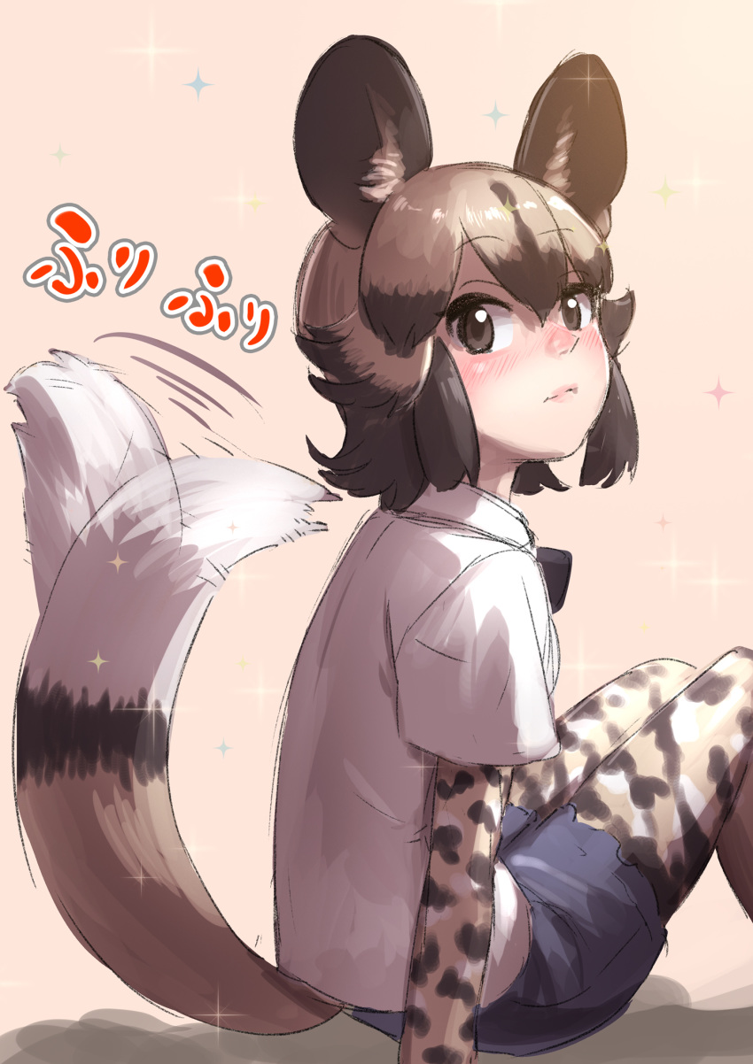 1girl african_wild_dog_(kemono_friends) african_wild_dog_print afterimage animal_ears bangs beige_background black_eyes black_hair blush brown_hair commentary dog_ears dog_tail eyebrows_visible_through_hair hair_between_eyes highres kemono_friends legwear_under_shorts long_sleeves looking_at_viewer multicolored_hair pantyhose print_legwear print_sleeves shirt short_hair short_over_long_sleeves short_sleeves shorts simple_background sitting solo sparkle tail tail_wagging takami_masahiro translated two-tone_hair white_shirt