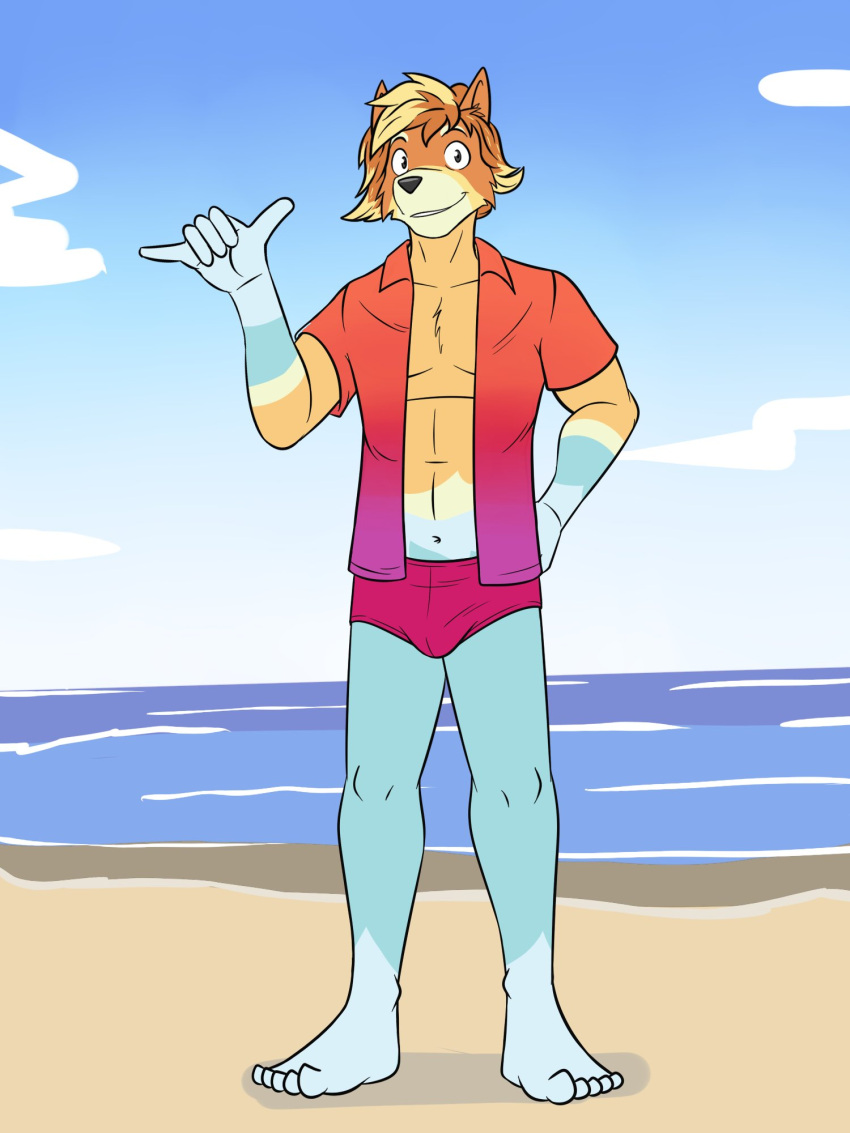 anthro australian_cattle_dog beach bluey_(series) bulge canid canine canis cattledog clothed clothing domestic_dog fuze herding_dog hi_res male mammal navel open_clothing open_shirt open_topwear pastoral_dog radley_heeler shirt solo speedo swimwear topwear