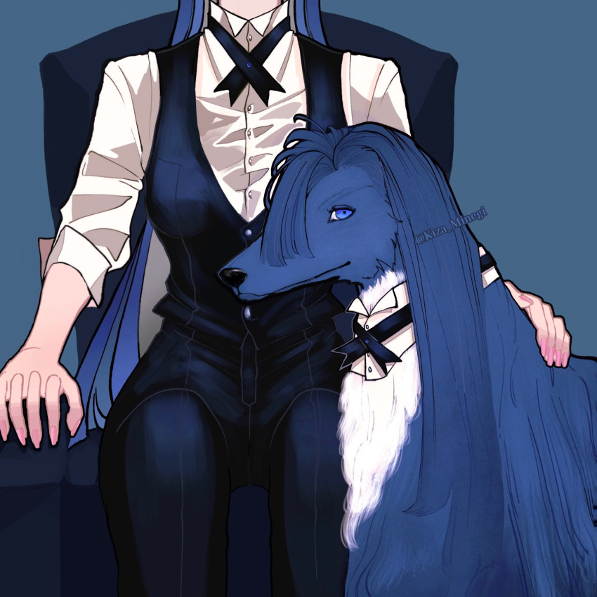 1girl ado_(utaite) animal_focus black_pants black_ribbon black_vest blue_background blue_hair breasts chair cloud_nine_inc collared_shirt commentary_request dog dress_shirt highres kiza_minegi long_hair medium_breasts merry_(ado) neck_ribbon pants readymade_(ado) ribbon shirt simple_background sitting sleeves_past_elbows solo twitter_username vest white_shirt