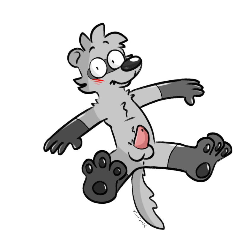 anthro anus balls blush blush_lines domestic_ferret erection floating fur genitals grey_body grey_fur hi_res male mammal mustelid musteline nervous_smile pawpads paws penis simple_background solo tinnier true_musteline weasel white_background