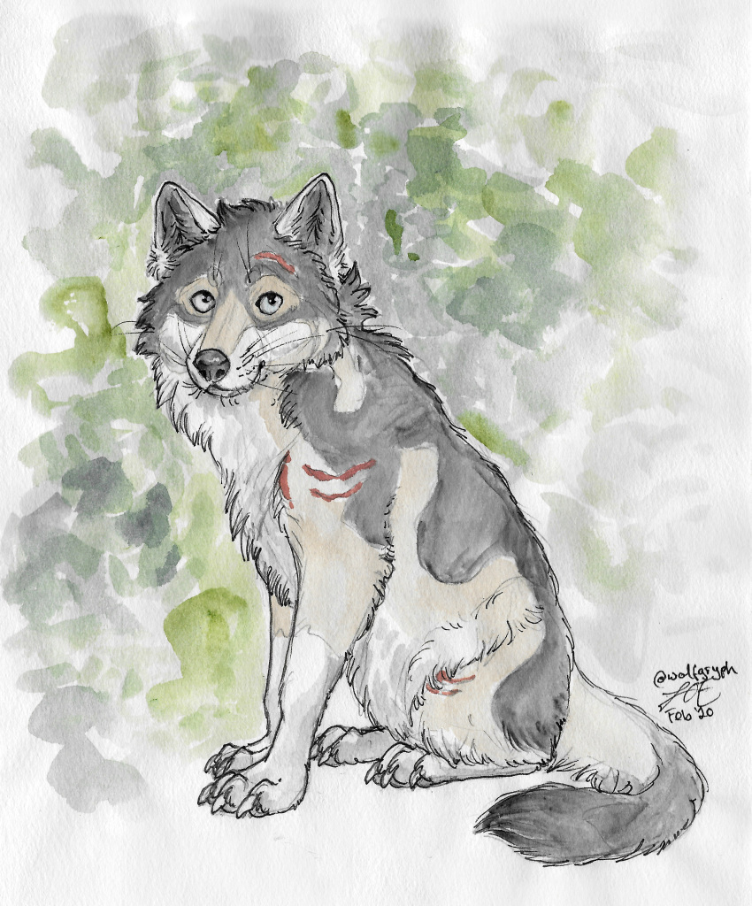 2020 absurd_res blue_eyes canid canine canis feral hi_res male mammal rakan scar traditional_media_(artwork) wolf wolfgryph