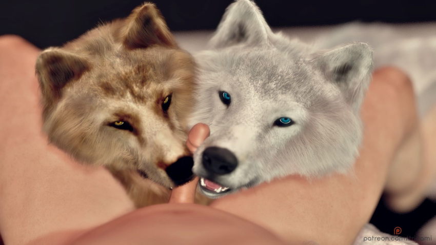 3d_(artwork) ambiguous_gender bestiality canid canine canis digital_media_(artwork) domestic_dog erection feral fluffy fur genitals group hi_res human human_on_feral humanoid humanoid_genitalia humanoid_penis interspecies lying male male/ambiguous male_on_feral mammal oral penis teasing trioami trioami260 widescreen wolf
