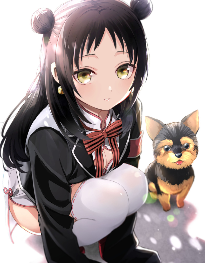 1girl animal black_hair black_jacket bow breasts brown_eyes china_dress chinese_clothes cleavage cleavage_cutout commentary_request dog double_bun dress forehead highres jacket kishuku_gakkou_no_juliet long_hair long_sleeves looking_at_viewer natsupa open_clothes open_jacket parted_lips red_bow ribbon-trimmed_legwear ribbon_trim sleeves_past_fingers sleeves_past_wrists small_breasts solo squatting striped striped_bow thighhighs wang_teria white_dress white_legwear