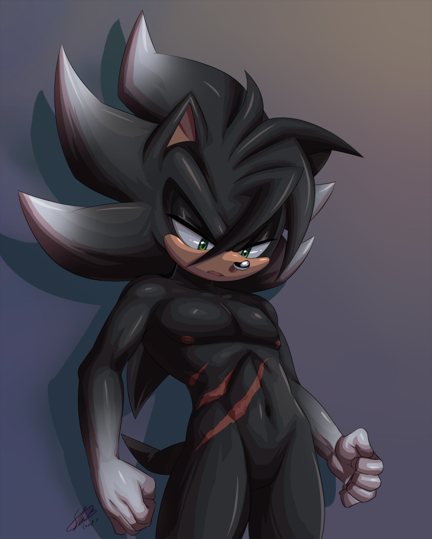 absurd_res black_body codyhedgie eulipotyphlan fan_character green_eyes hedgehog hi_res humanoid male mammal muscular nude pecs pinup pose scar soina sonic_the_hedgehog sonic_the_hedgehog_(series)