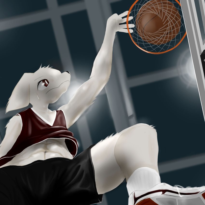 absurd_res anthro basketball basketball_uniform bird_dog canid canine canis clothing domestic_dog golden_retriever hi_res hunting_dog kemono male mammal retriever sport sportswear uniform white_body yamauso