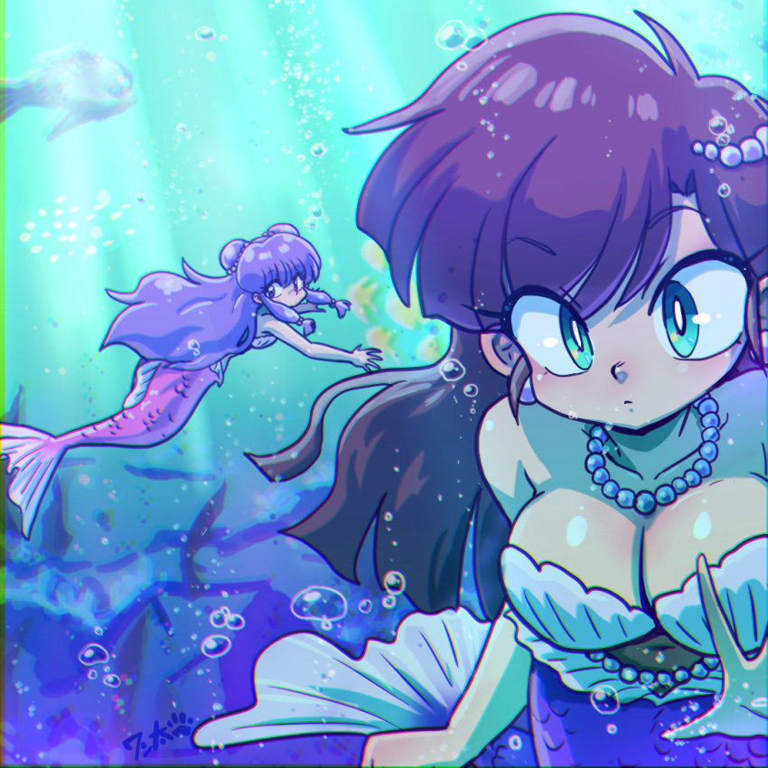 2girls air_bubble bare_shoulders blue_eyes blush breasts brown_hair bubble cleavage curious double_bun earrings fish hair_bun hair_ornament jewelry kuonji_ukyou large_breasts long_hair looking_at_viewer medium_hair mermaid monster_girl multiple_girls navel necklace ocean pearl_belt pearl_necklace pink_tail purple_eyes purple_hair purple_tail ranma_1/2 reaching reaching_towards_viewer school_of_fish seafloor seaweed shampoo_(ranma_1/2) shell shell_bikini sidelocks signature sphere_earrings swimming underwater underwater_background underwater_shot wanta_(futoshi)