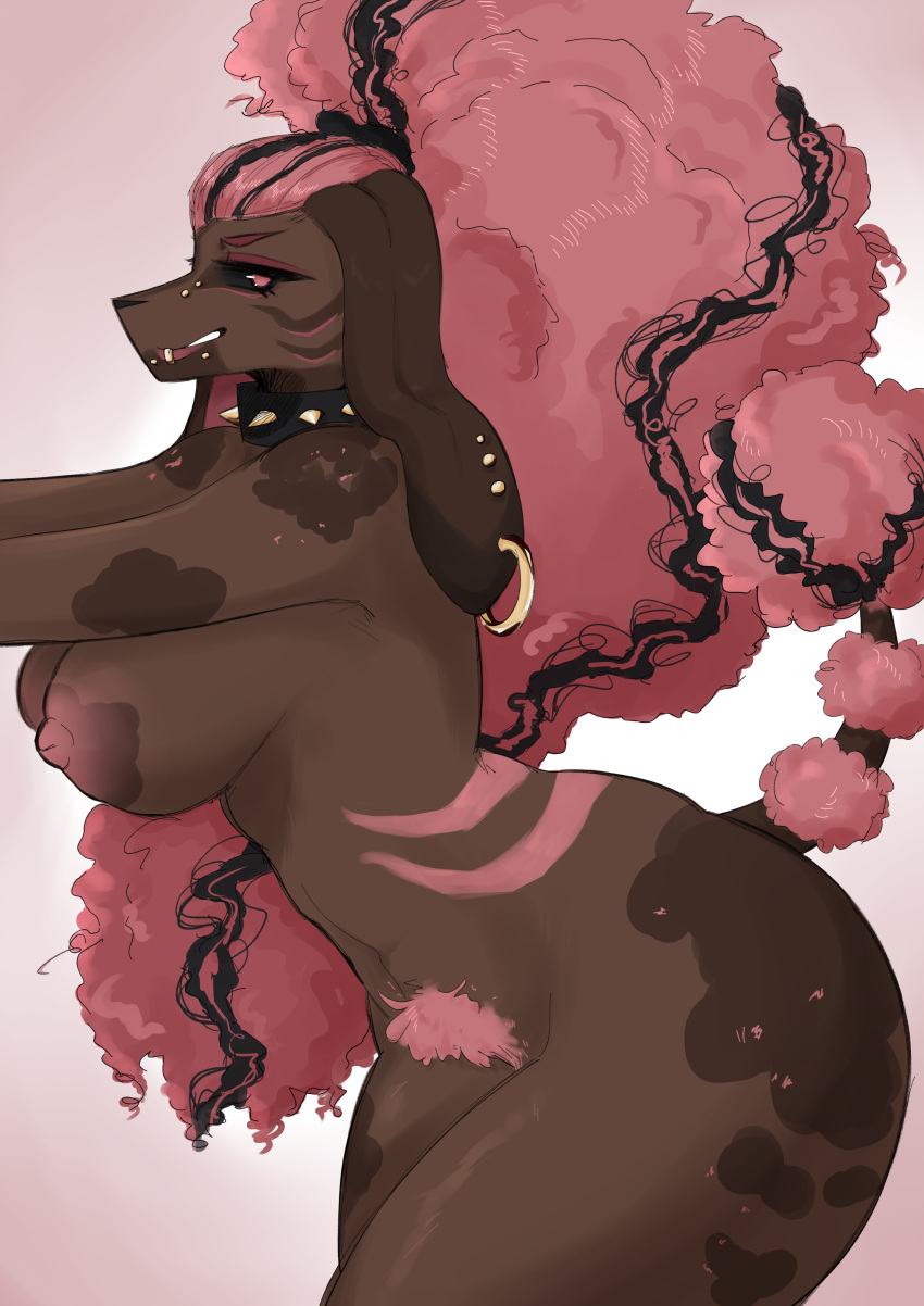 absurd_res big_breasts big_butt breasts butt canid canine canis collar curled_hair domestic_dog ear_piercing facial_piercing female floppy_ears hair hi_res highlights_(coloring) iwaiz long_ears long_hair mammal markings multiple_piercings nipples piercing pink_hair pink_pubes ponytail poodle pubes small_waist solo spiked_collar spikes tail tail_tuft tuft wide_hips