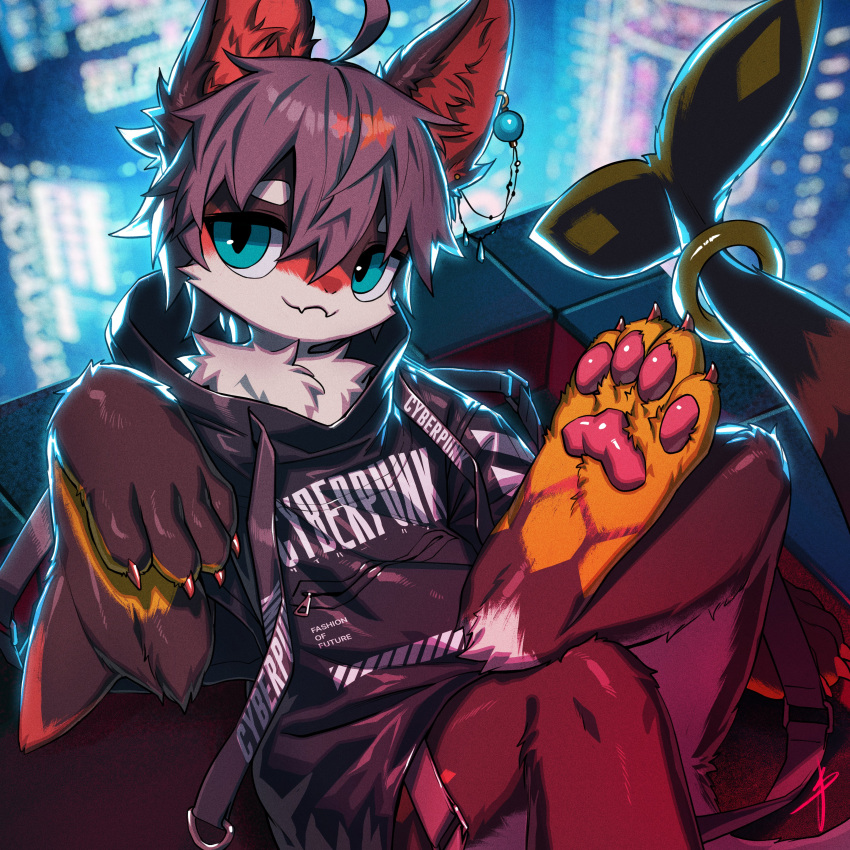 2023 absurd_res accessory ahoge anthro blaedic blue_eyes building canid canine chest_tuft city claws clothed clothing depth_of_field detailed_background digitigrade dir_(blick) ear_piercing feet foot_focus front_view fur furgonomics grey_hair hair handpaw hi_res high-angle_view hybrid inner_ear_fluff jewelry looking_at_viewer looking_up lying male male_anthro mammal marine markings on_back on_roof outside pawpads paws piercing pink_pawpads red_claws ring short_hair skyscraper smile solo star_(marking) tail tail_accessory tail_jewelry tail_ring tuft turquoise_(gem)