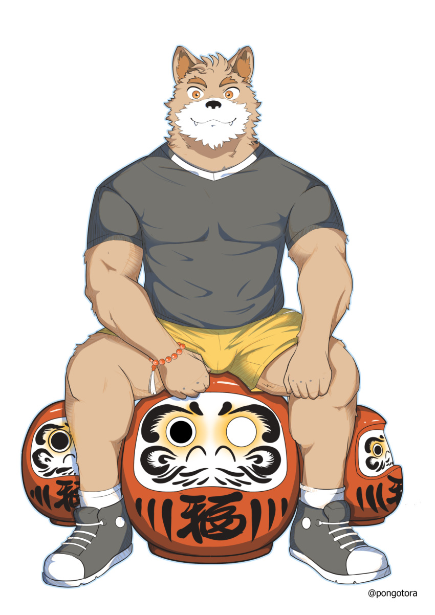 alpha_channel anthro bulge canid canine canis clothing daruma domestic_dog gaouu hi_res male mammal muscular pongotora rugby shiba_inu simple_background solo spitz transparent_background uniform
