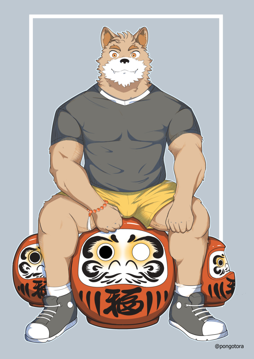 anthro canid canine canis clothing daruma domestic_dog gaouu hi_res male mammal muscular pongotora rugby shiba_inu solo spitz uniform