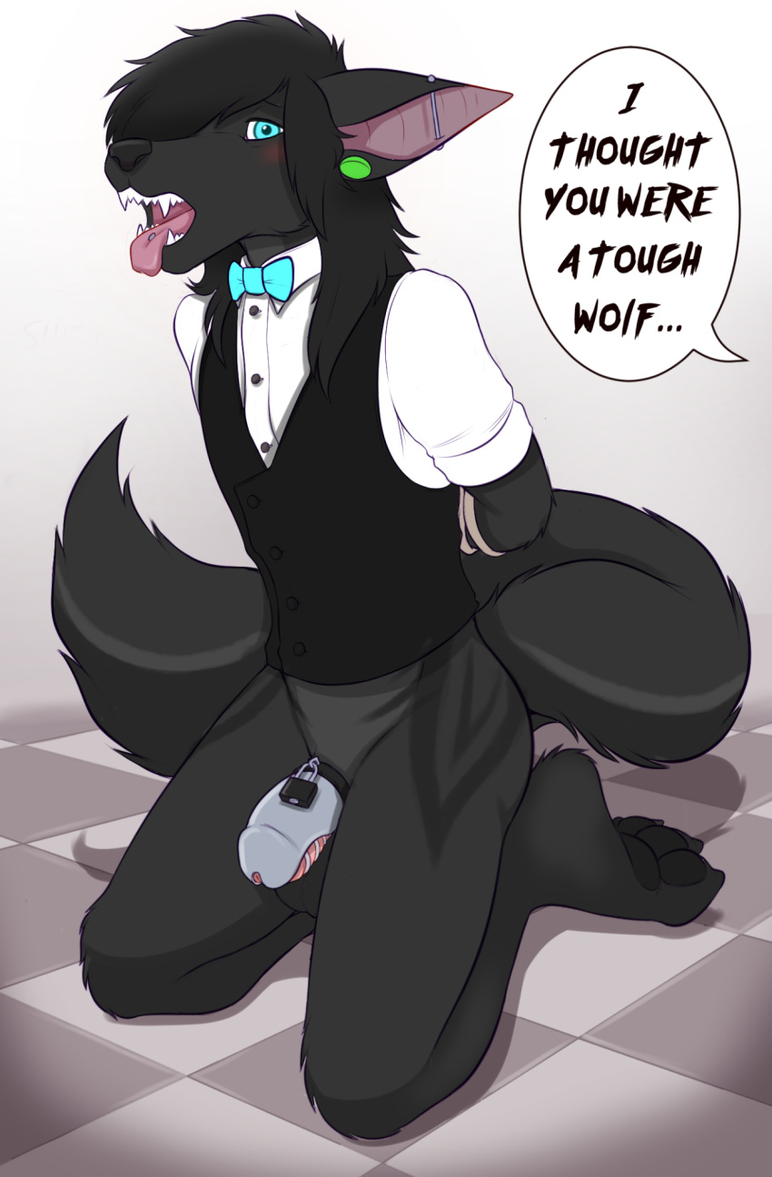 anthro black_body black_clothing black_fur black_hair black_pawpads black_tail black_text bottomless canid canine canis chastity_cage chastity_device clothed clothing english_text fangs fur genitals hair hi_res kneeling looking_at_viewer male mammal morhlis pawpads penis solo speech_bubble submissive submissive_male text tongue topwear vest white_clothing white_topwear wolf