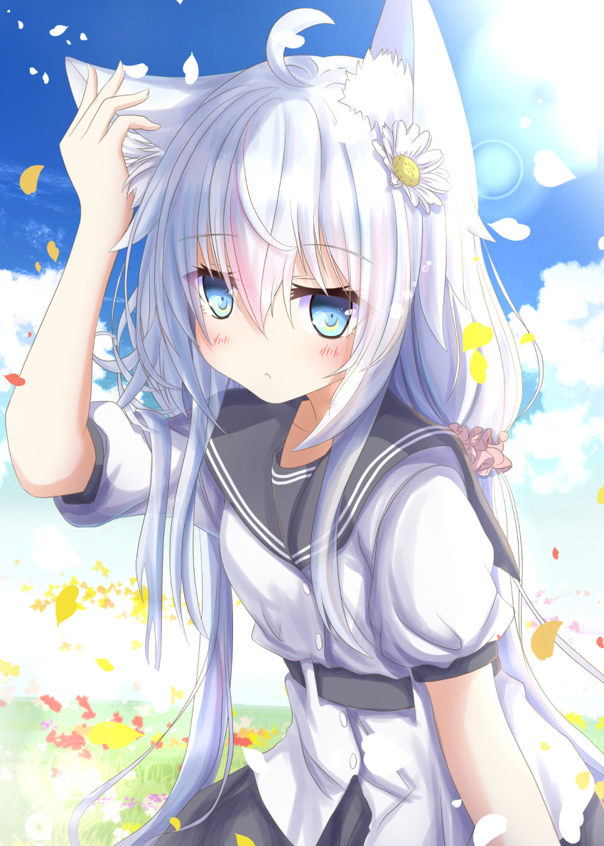 1girl adapted_costume animal_ears aruka_(alka_p1) black_sailor_collar black_skirt blue_eyes blush buttons cat_ears closed_mouth cloud day eyebrows_visible_through_hair flower hair_between_eyes hair_flower hair_ornament hibiki_(kantai_collection) highres kantai_collection kemonomimi_mode long_hair looking_at_viewer no_hat no_headwear petals pleated_skirt sailor_collar sailor_shirt shirt short_sleeves silver_hair skirt sky solo verniy_(kantai_collection) white_flower