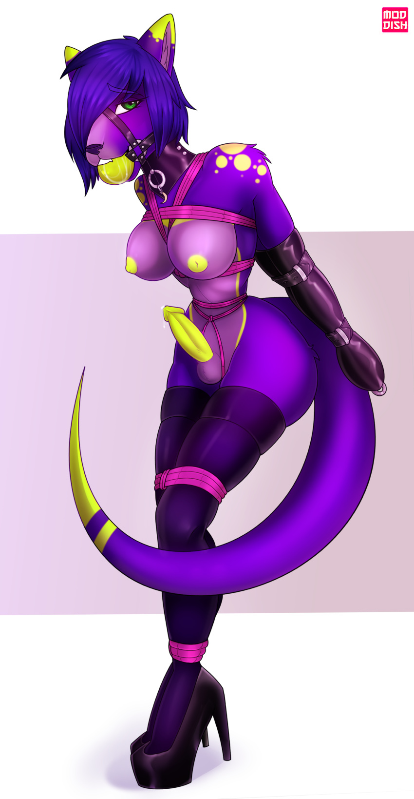 absurd_res anthro armbinder ava_rose7673 ball_gag bdsm breasts clothing collar footwear fur gag genitals green_eyes harness_ball_gag hi_res high_heels humanoid intersex legwear mammal moddish mustelid muzzle_(object) penis posture_collar purple_body purple_fur rope shoes solo stockings