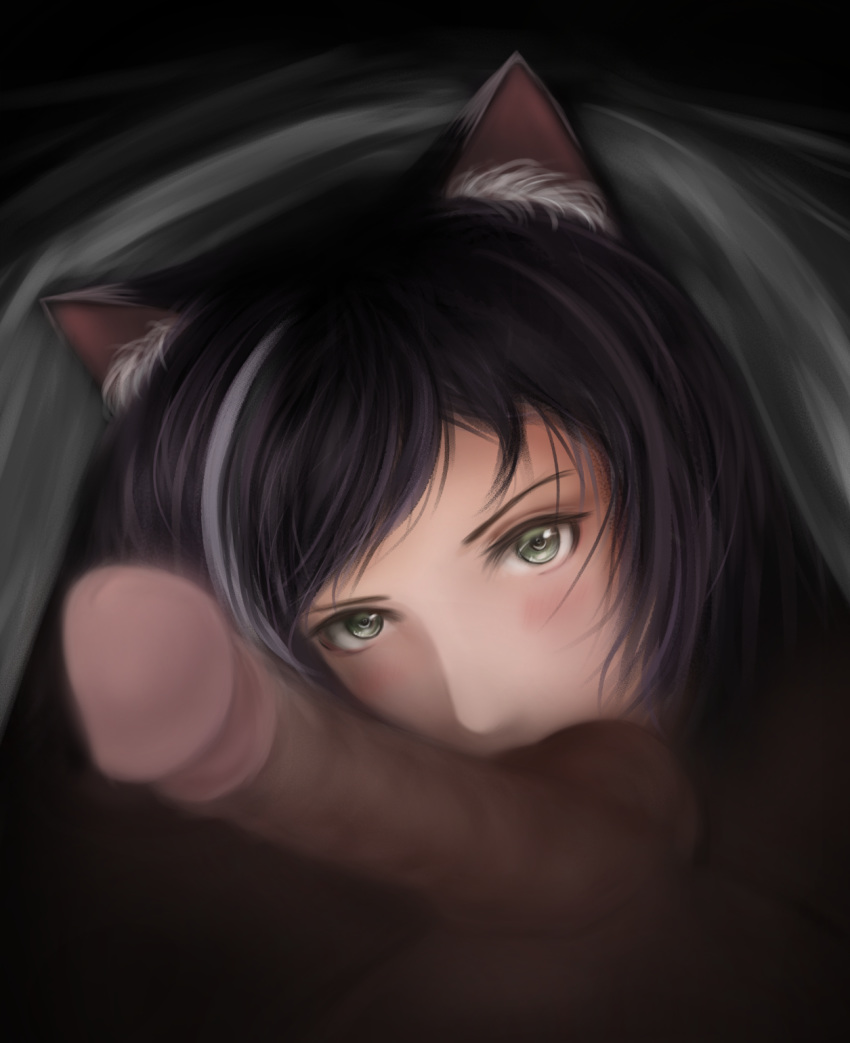 1boy 1girl animal_ear_fluff animal_ears black_hair blush cat_ears cat_girl green_eyes highres karyl_(princess_connect!) multicolored_hair penis princess_connect! princess_connect!_re:dive streaked_hair sucking_testicles under_covers white_hair yuitsukishiro