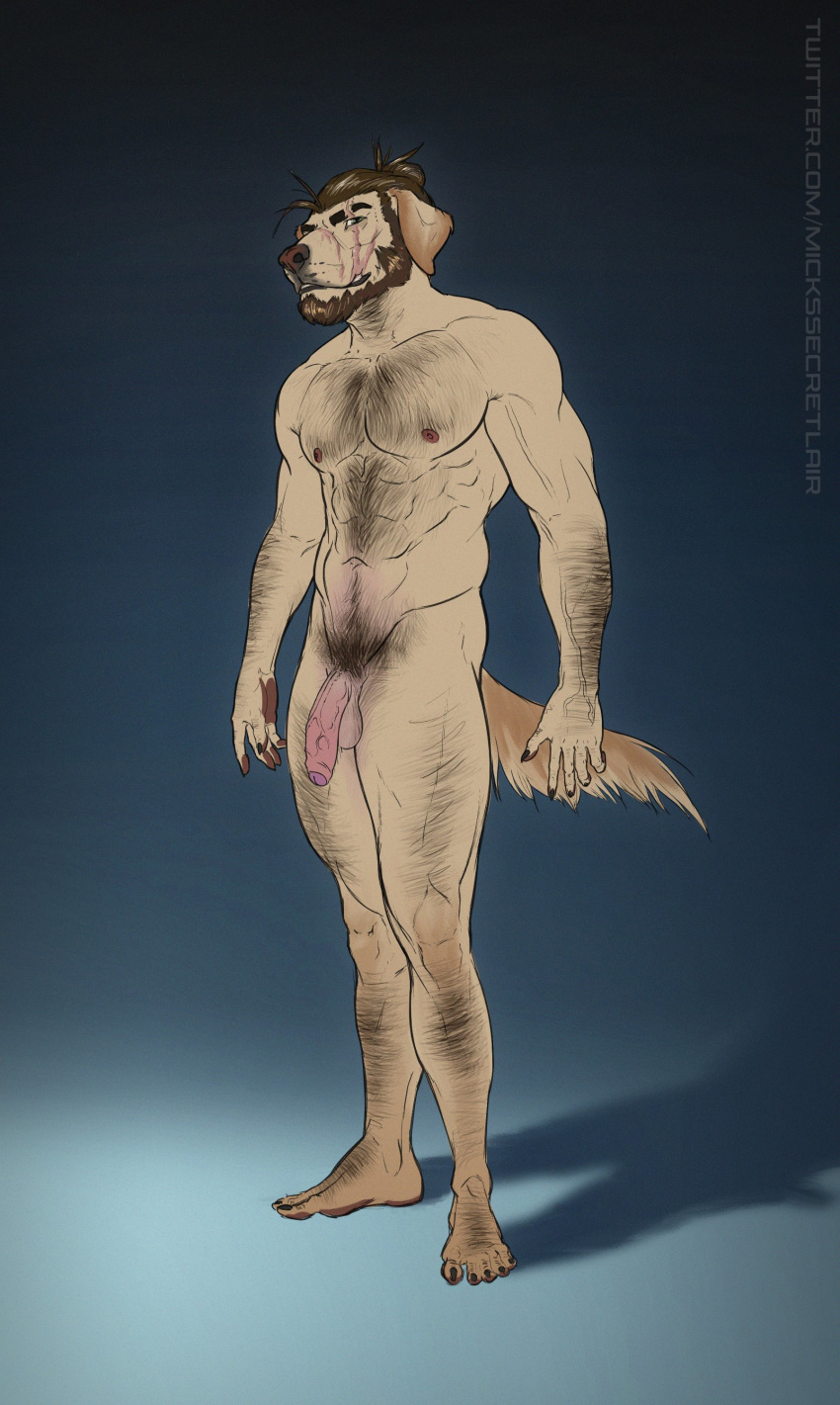 abs absurd_res anthro balls beads beard black_body black_eyes black_fur black_tuft brown_nose canid canine canis domestic_dog eyebrows facial_hair facial_scar facial_tuft flaccid fur genitals hi_res humanoid_genitalia humanoid_penis male mammal mickey_the_retriever muscular muscular_male nail navel nipples nude pawpads paws penis scar simple_background solo standing tuft uncut vein veiny_arms yellow_body